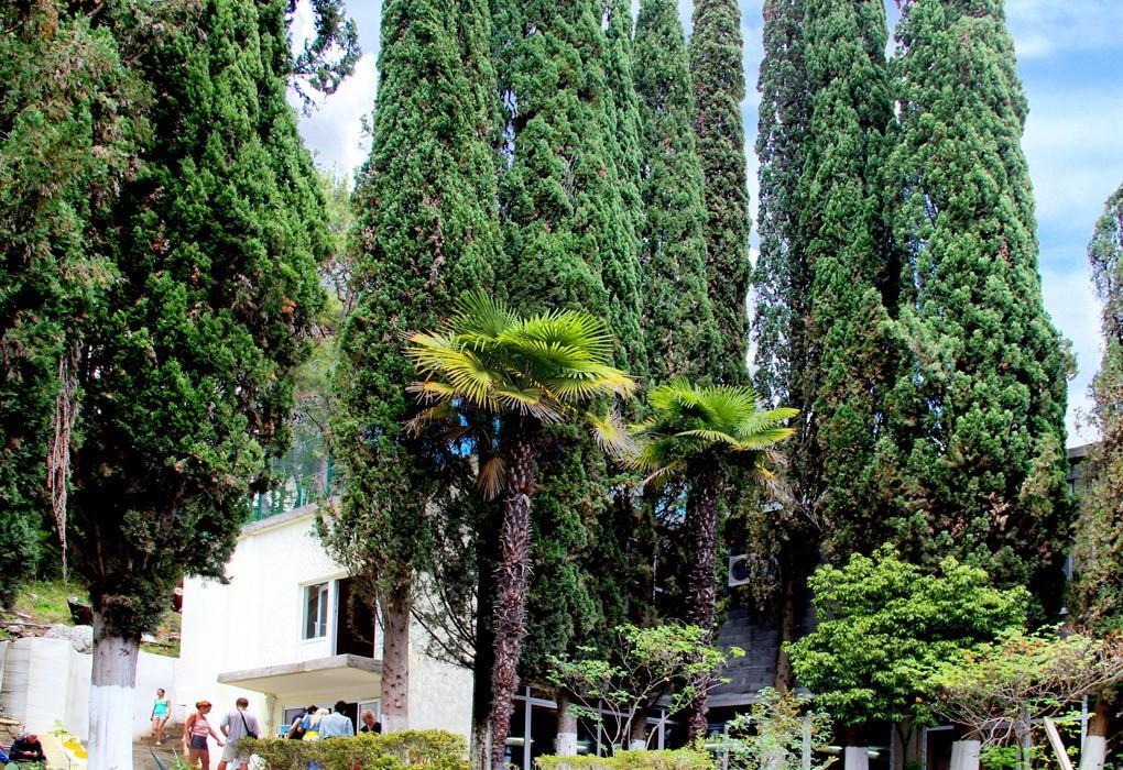 Pansionat Solnechniy Gagra Exterior foto